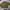 H&M Streetwear Sweatshirt Pria Green