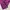 Leggings sport Reebok fuchsia black size S  photo 3