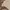 Sweater Pria tan photo 4