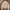 Sweater Pria tan photo 5