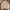 Sweater Pria tan photo 1