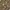 Sweater Pria yellow gray photo 5