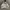Champion Vintage Streetwear Fleece Pria gray photo 5