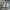 Sneaker Fila Barricade White Cream photo 6