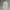 Levi's 503 Cargo Pants Cream