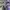 ADIDAS SPEZIAL DARK GREY , ADIDAS SPEZIAL GREY , ADIDAS SPEZ photo 4