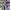 ADIDAS SPEZIAL DARK GREY , ADIDAS SPEZIAL GREY , ADIDAS SPEZ photo 2