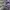 ADIDAS SPEZIAL DARK GREY , ADIDAS SPEZIAL GREY , ADIDAS SPEZ photo 1