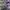 ADIDAS SPEZIAL DARK GREY , ADIDAS SPEZIAL GREY , ADIDAS SPEZ photo 3