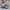 ADIDAS SPEZIAL DARK GREY , ADIDAS SPEZIAL GREY , ADIDAS SPEZ photo 8
