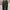 Longpants Outdoor Marmot Gorpcore