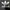 CREWNECK ADIDAS TREFOIL photo 3