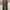 Longpants Outdoor Utility Schoefel