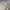 OFF WHITE LONG SLEEVE DRESS BIG SIZE photo 4