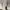 OFF WHITE LONG SLEEVE DRESS BIG SIZE photo 8
