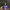 Action Figure  Ultraman Cosmos photo 4