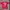 Vintage ppfm single stitch tshirt photo 1