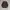 2000's Polo Ralph Lauren Brown Knitwear  photo 1