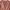 EGALE LONG SLEEVE ROSE GOLD BIG SIZE TOP photo 4