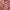 EGALE LONG SLEEVE ROSE GOLD BIG SIZE TOP photo 7