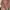 FLORAL PINK DRESS BIG SIZE photo 5