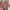 FLORAL PINK DRESS BIG SIZE photo 4
