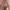 FLORAL PINK DRESS BIG SIZE photo 7