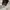 The North Face Gorpcore Waterproof Jacket Outdo TNF photo 6