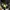 Nike shoes photo 6
