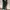 SHOP AT VELVET ELEVATION EMERALD GREEN DRESS BIG SIZE photo 3