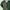 SHOP AT VELVET ELEVATION EMERALD GREEN DRESS BIG SIZE photo 5