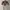 ZARA Casual T-shirt Pria multicolor photo 1