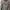 Hoddie tailor authentic photo 1