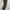 CP COMPANY LONGPANTS  photo 2