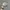 Vintage Hat Pria tan gray photo 1