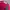 Vintage Hat Pria burgundy photo 4