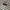 Element Vintage Streetwear Casual shirt Pria white gray photo 4