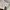 WHITE TOP OUTER BIG SIZE FREE SIZE photo 2