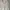 WHITE TOP OUTER BIG SIZE FREE SIZE photo 3