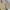 CREAM BEIGE TOP OUTER BIG SIZE FREE SIZE  photo 2