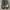 Merrell 1TR hydro moc black/white brindle ori photo 6