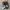 Merrell 1TR hydro moc black/white brindle ori photo 2
