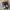 Merrell 1TR Hydro Moc Black/white Brindle Ori