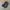 Merrell 1TR hydro moc black/white brindle ori photo 1