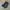 Merrell 1TR Hydro Moc Black/white Brindle Ori