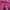 PUMA Tracktop Pink photo 4