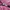 PUMA Tracktop Pink photo 3