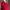 Kemeja Minimalist Wanita Red photo 1