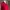 Kemeja Minimalist Wanita Red