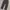 Dickies 1939RBK Carpenter Long Pants photo 4